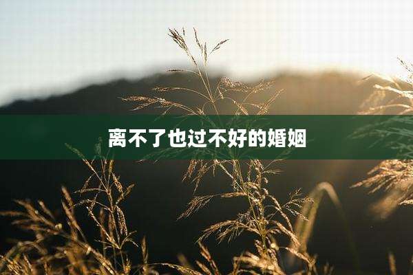 离不了也过不好的婚姻