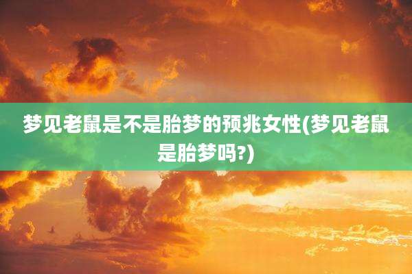 梦见老鼠是不是胎梦的预兆女性(梦见老鼠是胎梦吗?)