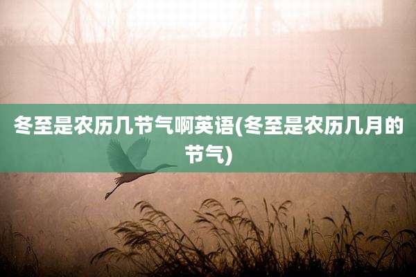 冬至是农历几节气啊英语(冬至是农历几月的节气)