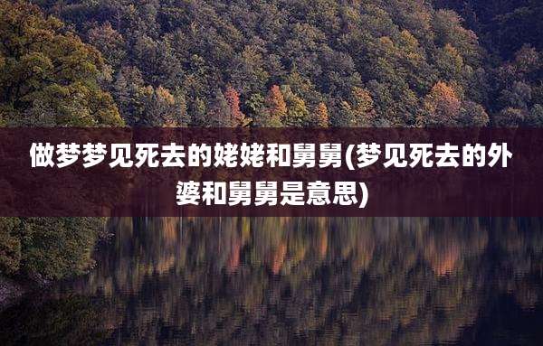 做梦梦见死去的姥姥和舅舅(梦见死去的外婆和舅舅是意思)
