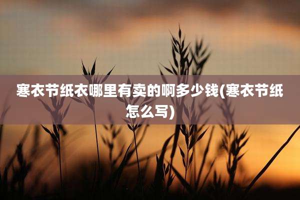 寒衣节纸衣哪里有卖的啊多少钱(寒衣节纸怎么写)