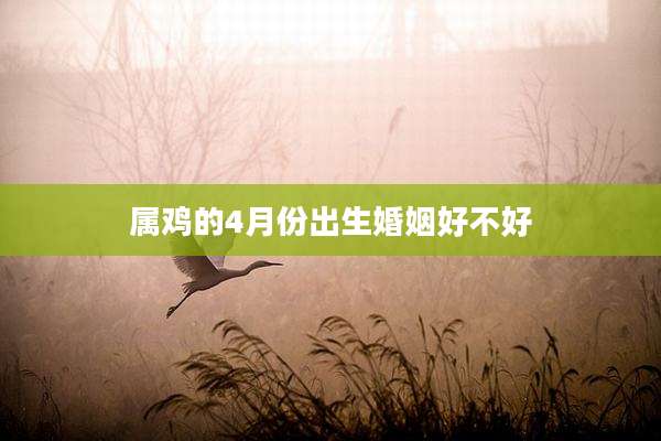 属鸡的4月份出生婚姻好不好