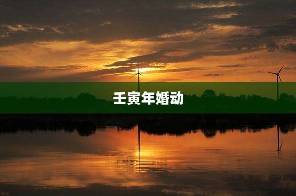 壬寅年婚动
