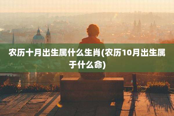 农历十月出生属什么生肖(农历10月出生属于什么命)
