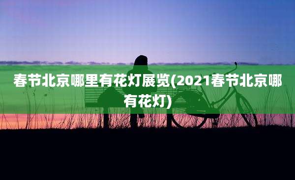 春节北京哪里有花灯展览(2021春节北京哪有花灯)