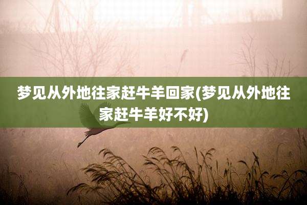 梦见从外地往家赶牛羊回家(梦见从外地往家赶牛羊好不好)