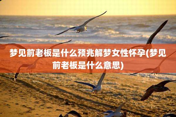 梦见前老板是什么预兆解梦女性怀孕(梦见前老板是什么意思)