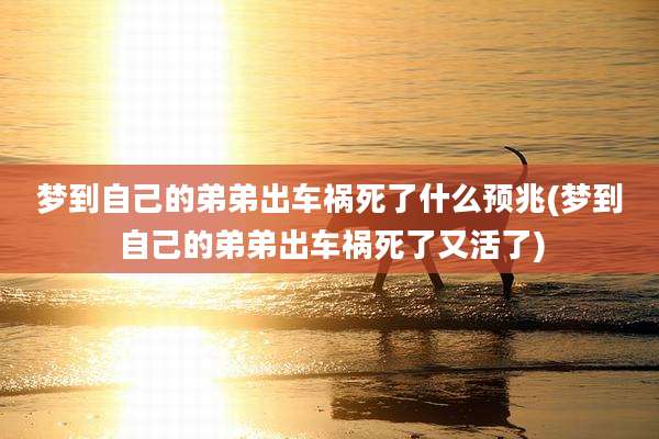 梦到自己的弟弟出车祸死了什么预兆(梦到自己的弟弟出车祸死了又活了)