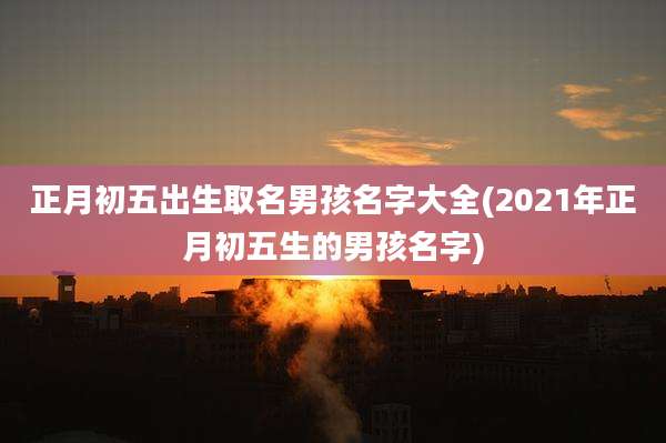 正月初五出生取名男孩名字大全(2021年正月初五生的男孩名字)