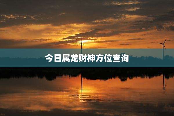 今日属龙财神方位查询