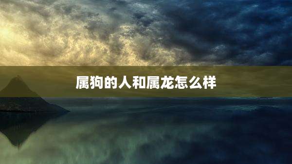 属狗的人和属龙怎么样
