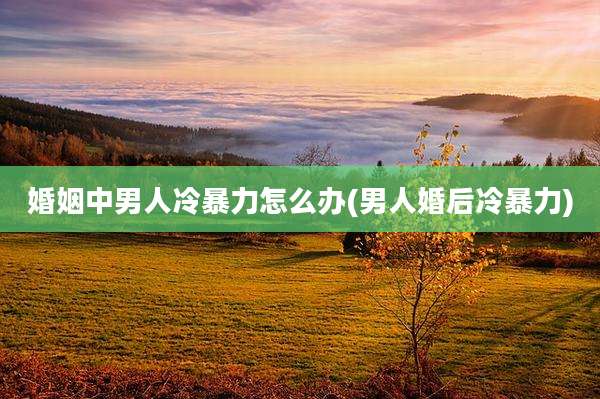 婚姻中男人冷暴力怎么办(男人婚后冷暴力)