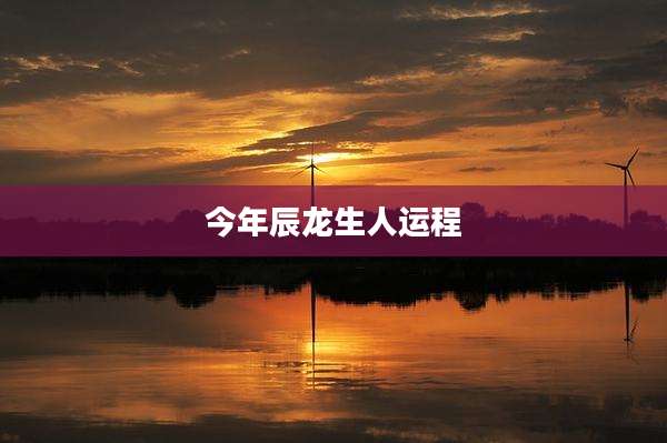 今年辰龙生人运程