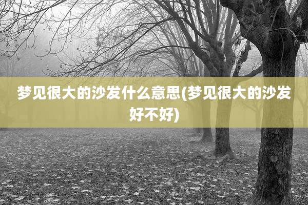 梦见很大的沙发什么意思(梦见很大的沙发好不好)