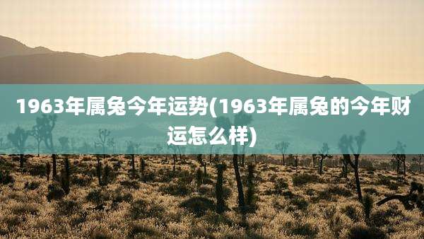 1963年属兔今年运势(1963年属兔的今年财运怎么样)