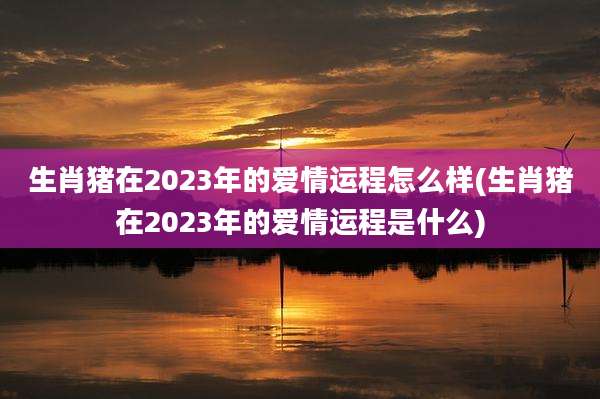 生肖猪在2023年的爱情运程怎么样(生肖猪在2023年的爱情运程是什么)
