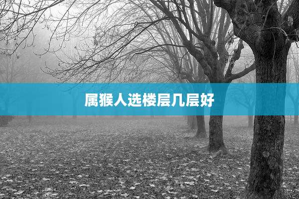 属猴人选楼层几层好