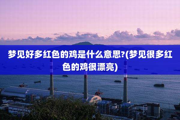 梦见好多红色的鸡是什么意思?(梦见很多红色的鸡很漂亮)