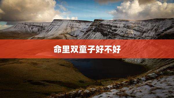 命里双童子好不好