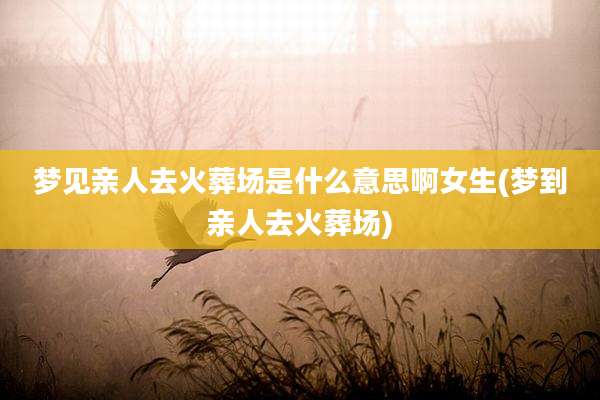 梦见亲人去火葬场是什么意思啊女生(梦到亲人去火葬场)