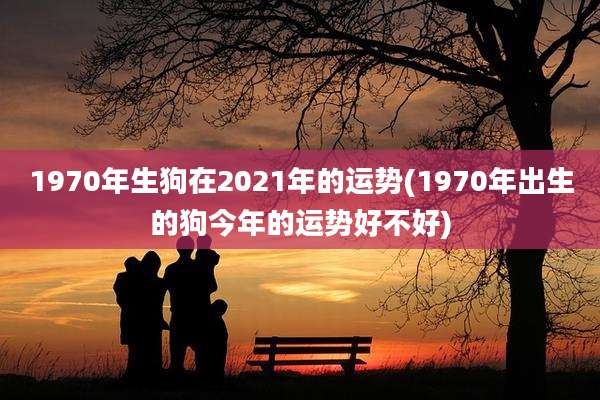 1970年生狗在2021年的运势(1970年出生的狗今年的运势好不好)