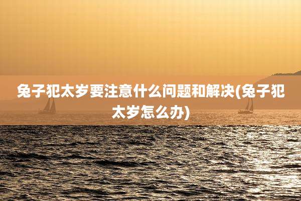 兔子犯太岁要注意什么问题和解决(兔子犯太岁怎么办)