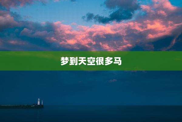 梦到天空很多马