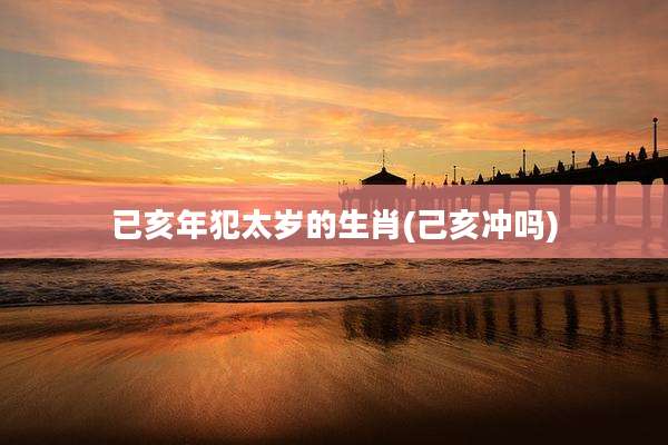 已亥年犯太岁的生肖(己亥冲吗)