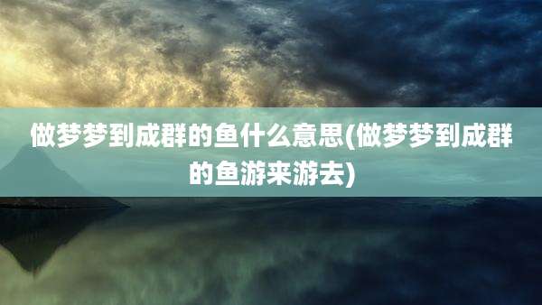 做梦梦到成群的鱼什么意思(做梦梦到成群的鱼游来游去)