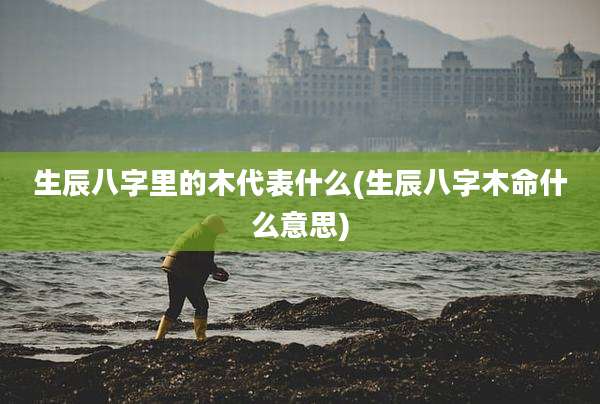 生辰八字里的木代表什么(生辰八字木命什么意思)