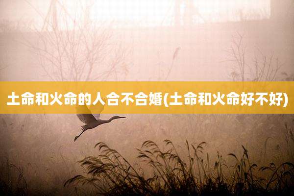 土命和火命的人合不合婚(土命和火命好不好)