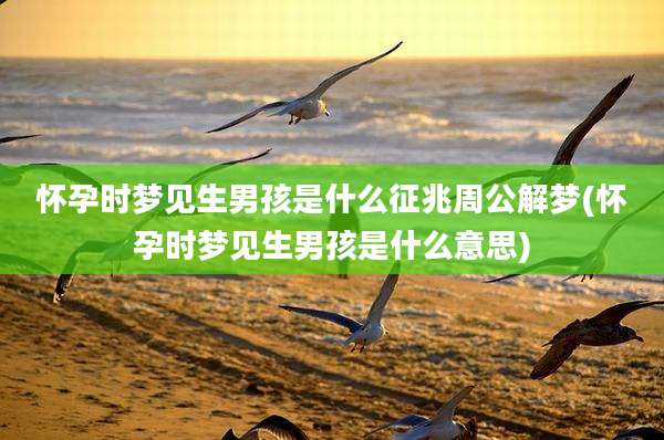 怀孕时梦见生男孩是什么征兆周公解梦(怀孕时梦见生男孩是什么意思)
