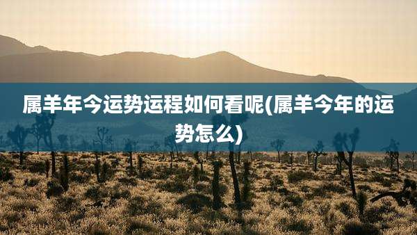 属羊年今运势运程如何看呢(属羊今年的运势怎么)