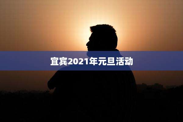 宜宾2021年元旦活动