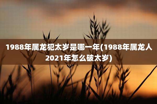 1988年属龙犯太岁是哪一年(1988年属龙人2021年怎么破太岁)