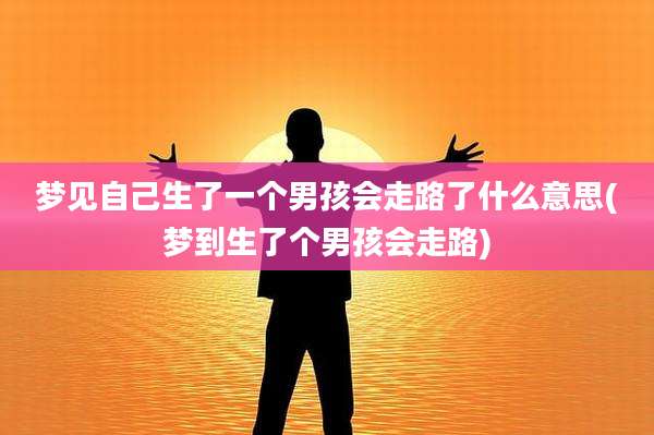 梦见自己生了一个男孩会走路了什么意思(梦到生了个男孩会走路)