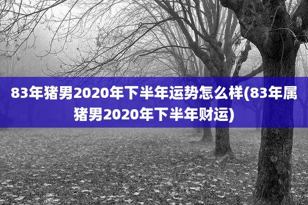 83年猪男2020年下半年运势怎么样(83年属猪男2020年下半年财运)