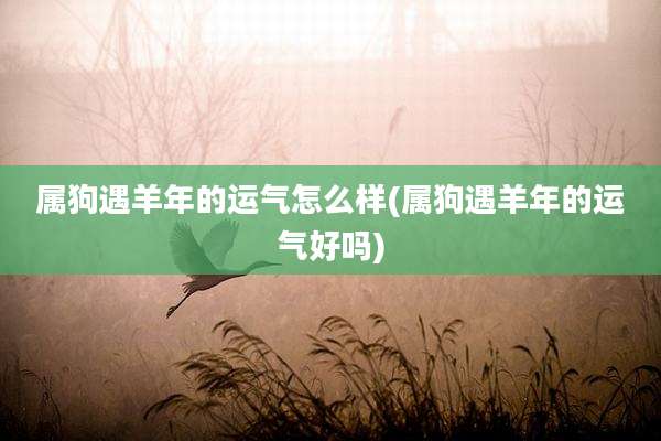 属狗遇羊年的运气怎么样(属狗遇羊年的运气好吗)