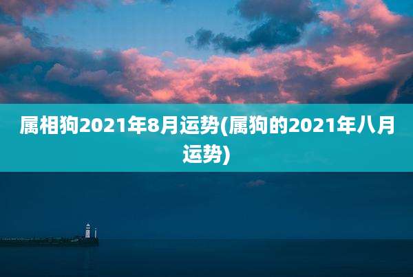 属相狗2021年8月运势(属狗的2021年八月运势)
