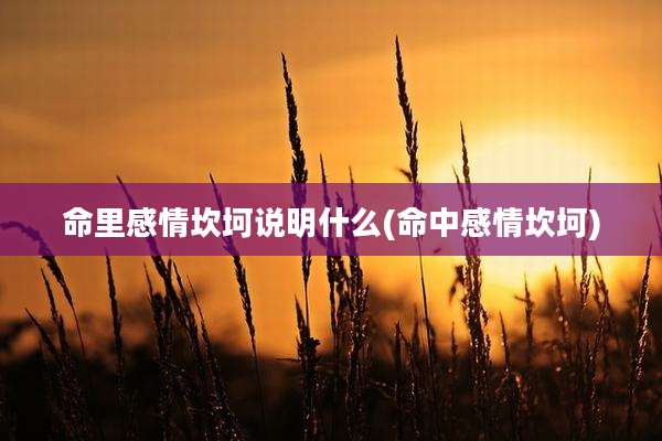 命里感情坎坷说明什么(命中感情坎坷)