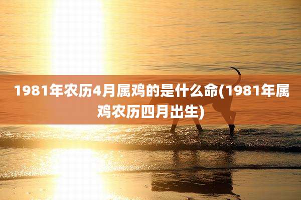 1981年农历4月属鸡的是什么命(1981年属鸡农历四月出生)