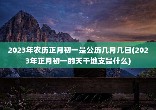 2023年农历正月初一是公历几月几日(2023年正月初一的天干地支是什么)