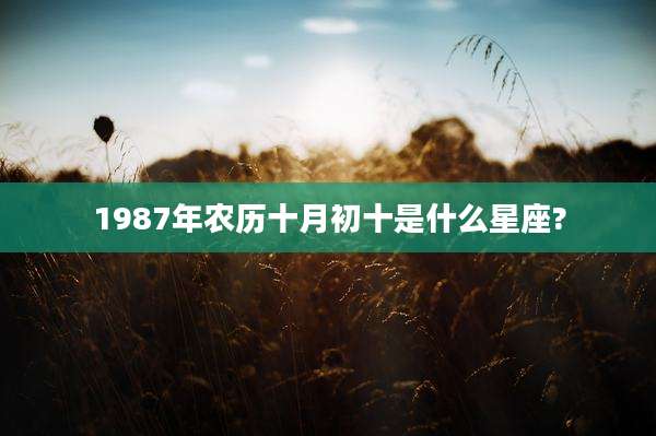 1987年农历十月初十是什么星座?