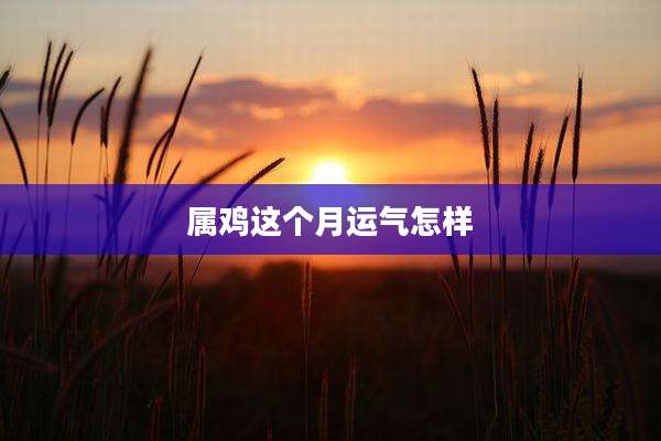 属鸡这个月运气怎样