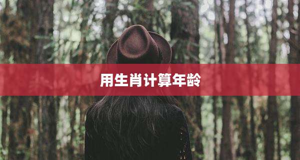 用生肖计算年龄