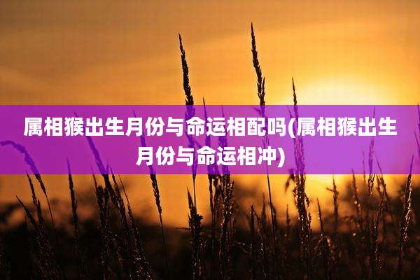 属相猴出生月份与命运相配吗(属相猴出生月份与命运相冲)