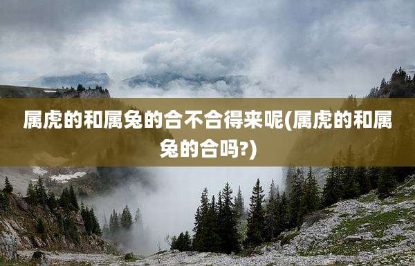 属虎的和属兔的合不合得来呢(属虎的和属兔的合吗?)