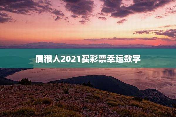 属猴人2021买彩票幸运数字
