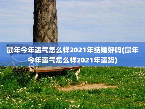 鼠年今年运气怎么样2021年结婚好吗(鼠年今年运气怎么样2021年运势)