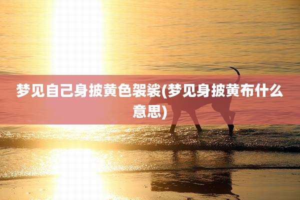 梦见自己身披黄色袈裟(梦见身披黄布什么意思)